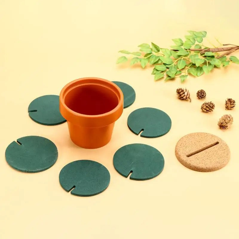 Cactus Coaster