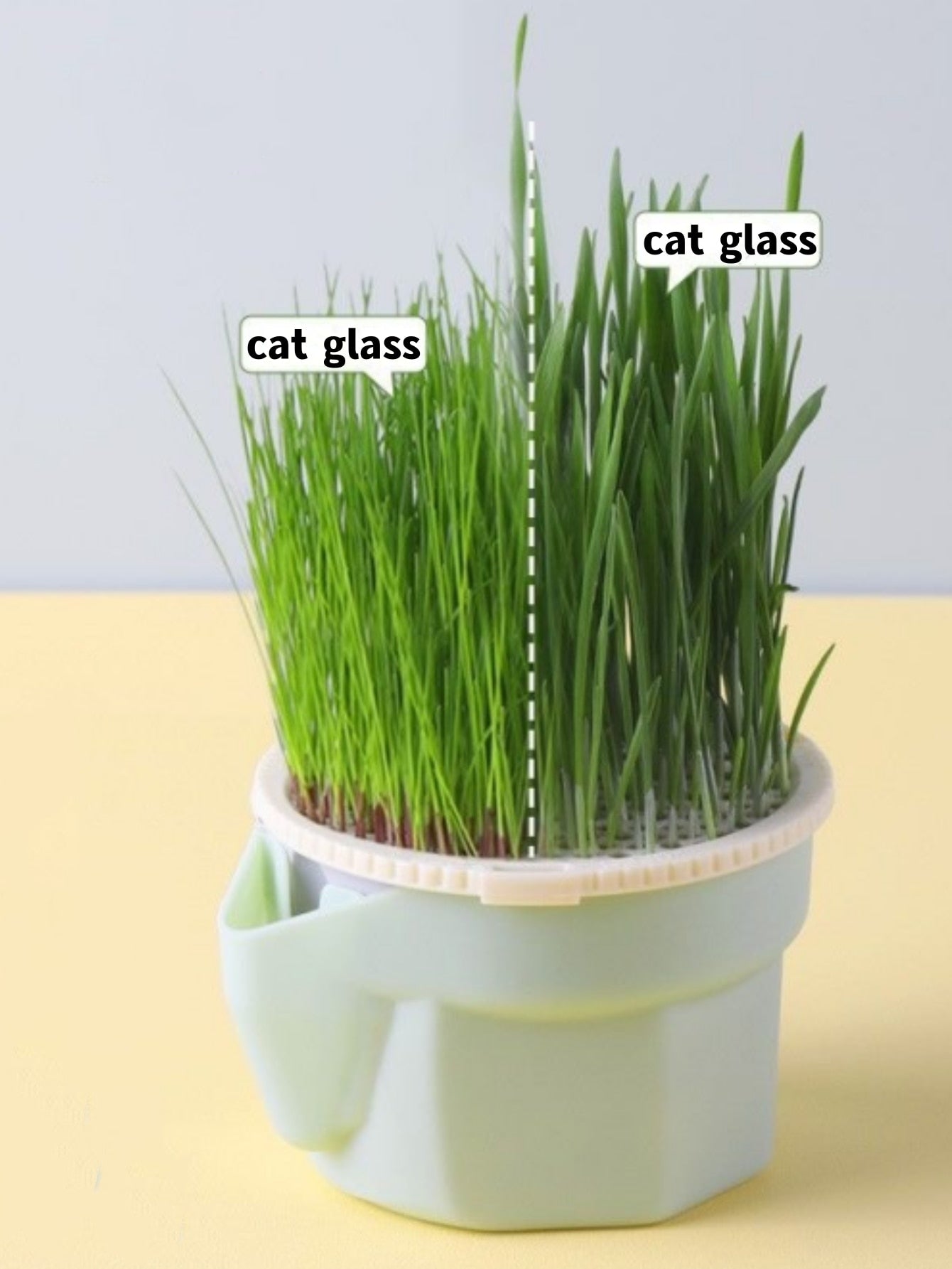 Cat Grass Cup