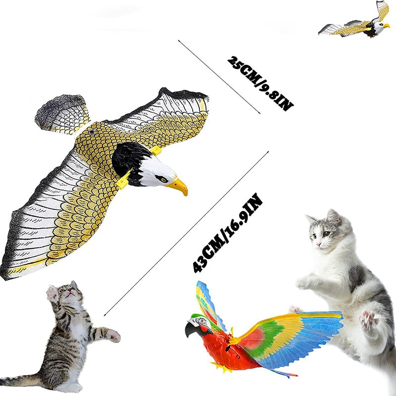 BUNGEE CAT TOYS