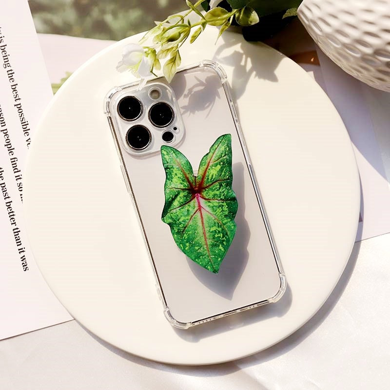 Caladium Leaf Sockets