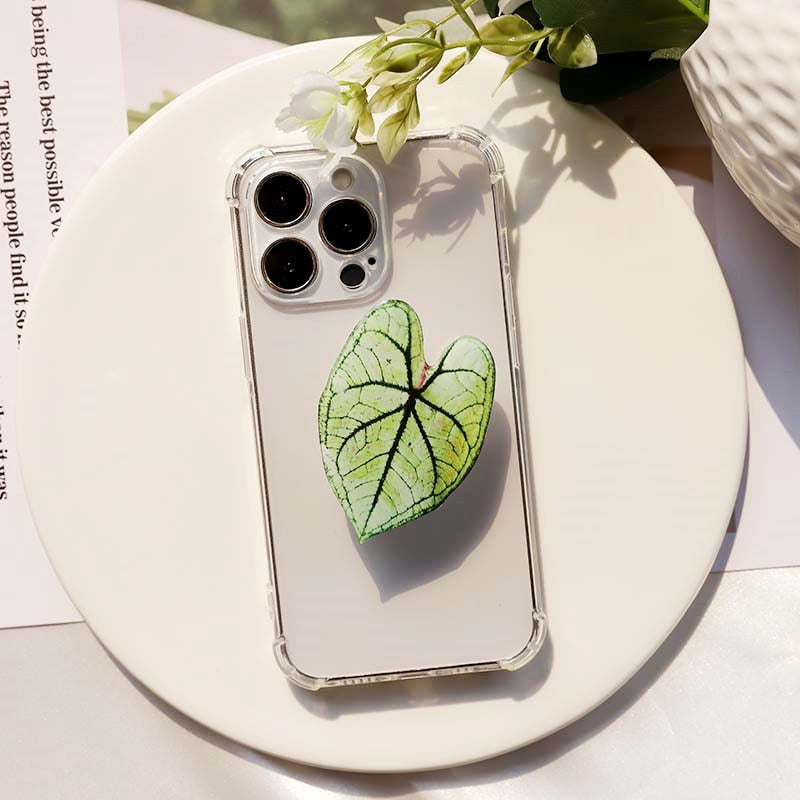 Caladium Leaf Sockets