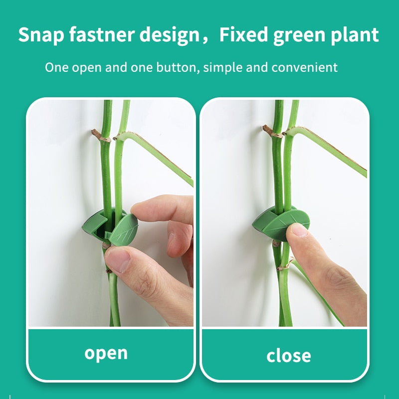 Leaf Shape Self-Adhesive Hook (10/20/50Pcs)