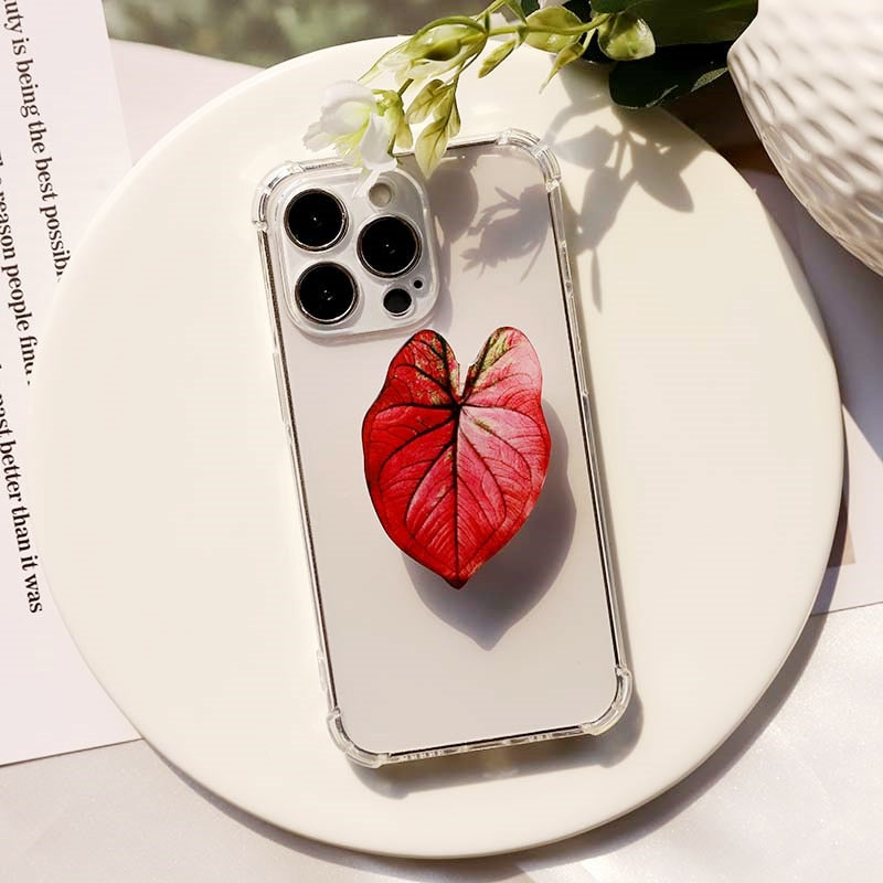 Caladium Leaf Sockets