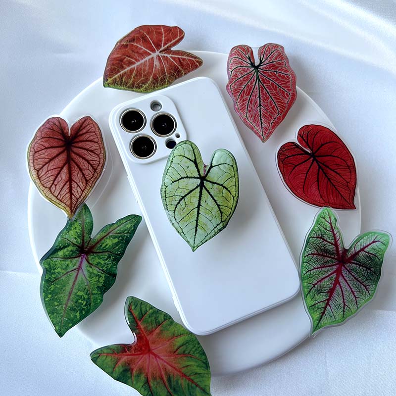 Caladium Leaf Sockets