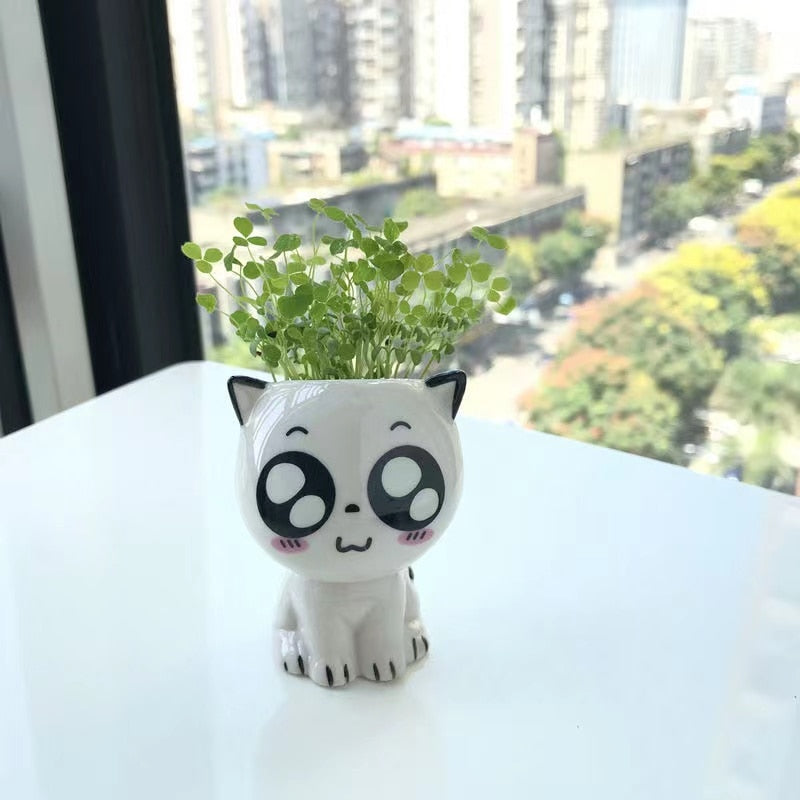 Cute Cat Planter