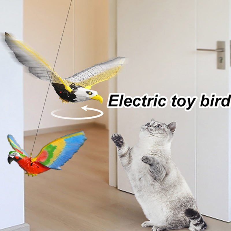 BUNGEE CAT TOYS