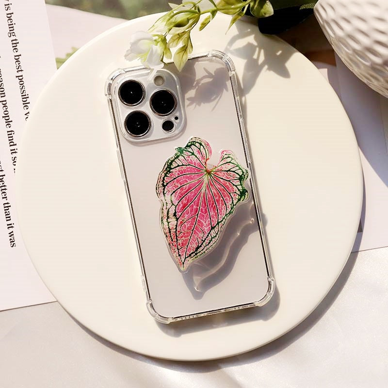 Caladium Leaf Sockets