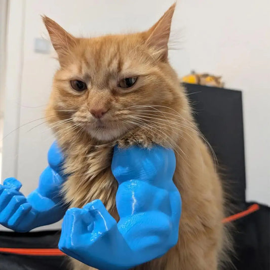 3D Cat Hulks Arms