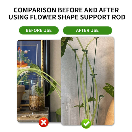 Plant Support Stakes 5/10/20Pcs