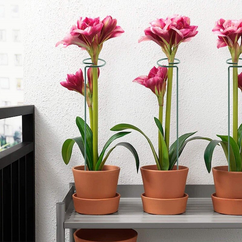 5Pcs Plant Support  Stakes