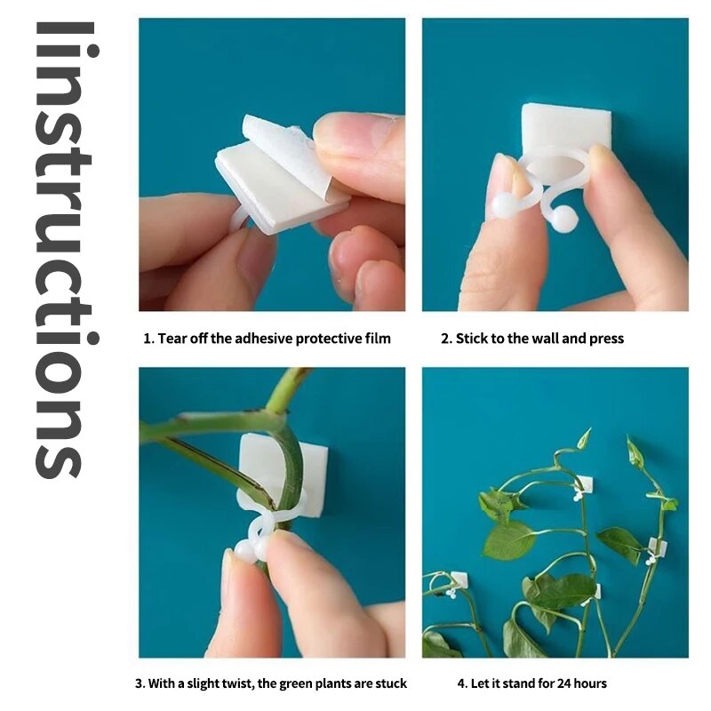 Self-Adhesive Plant Climbing Wall Fixture