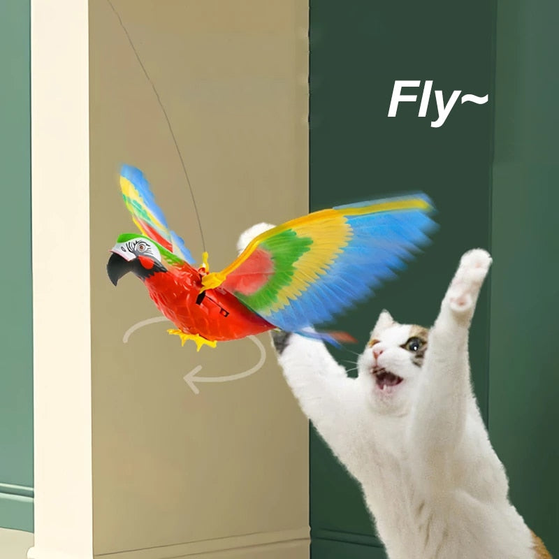 BUNGEE CAT TOYS