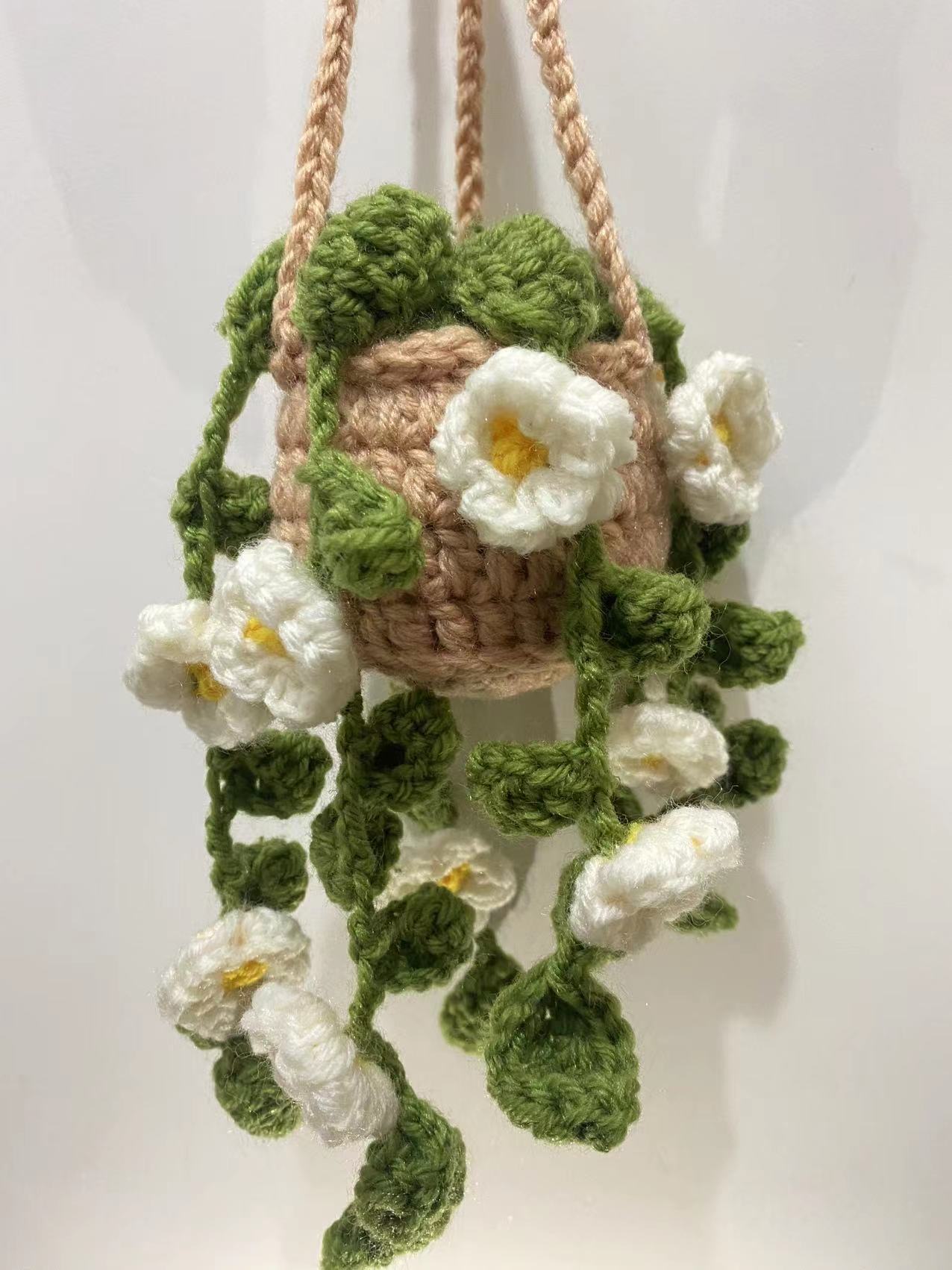Hanging Plant Crochet for Car Decor