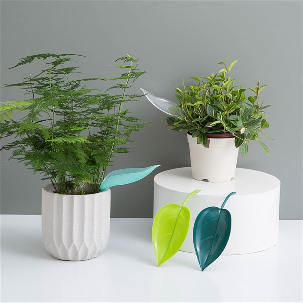 Cute  Watering Leaves (6pcs)