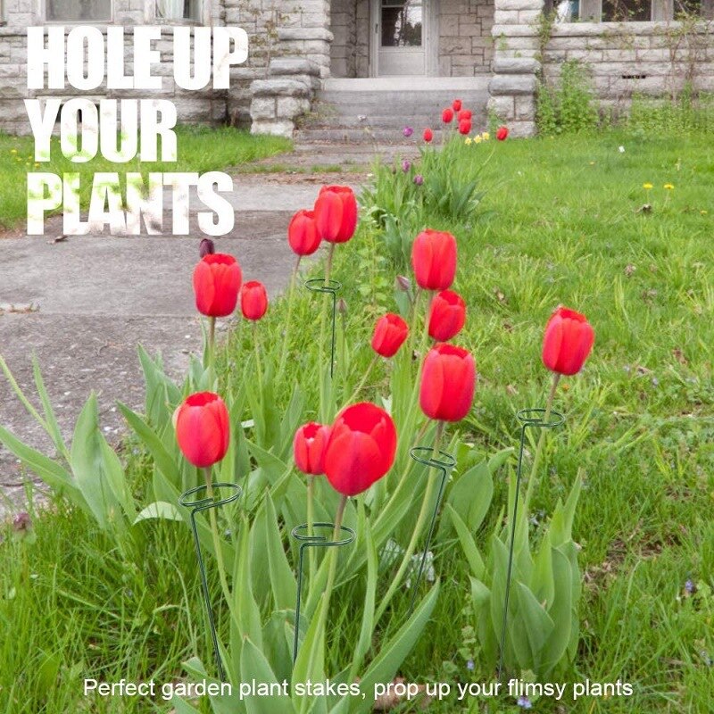 5Pcs Plant Support  Stakes
