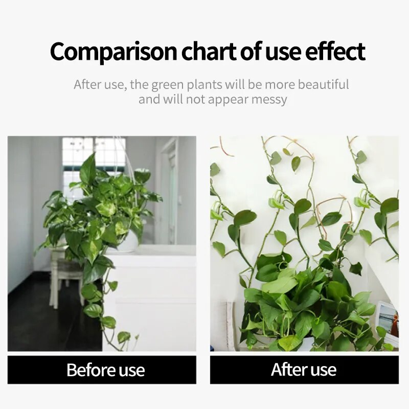 Self-Adhesive Plant Climbing Wall Fixture