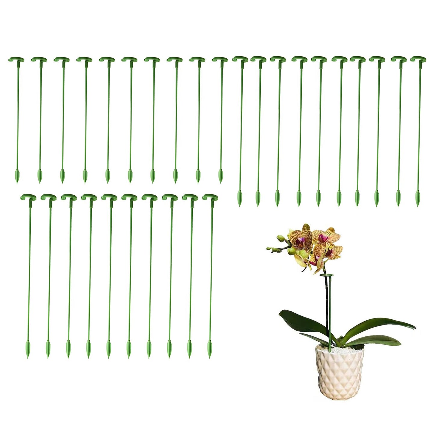 Plant Support Stakes 5/10/20Pcs