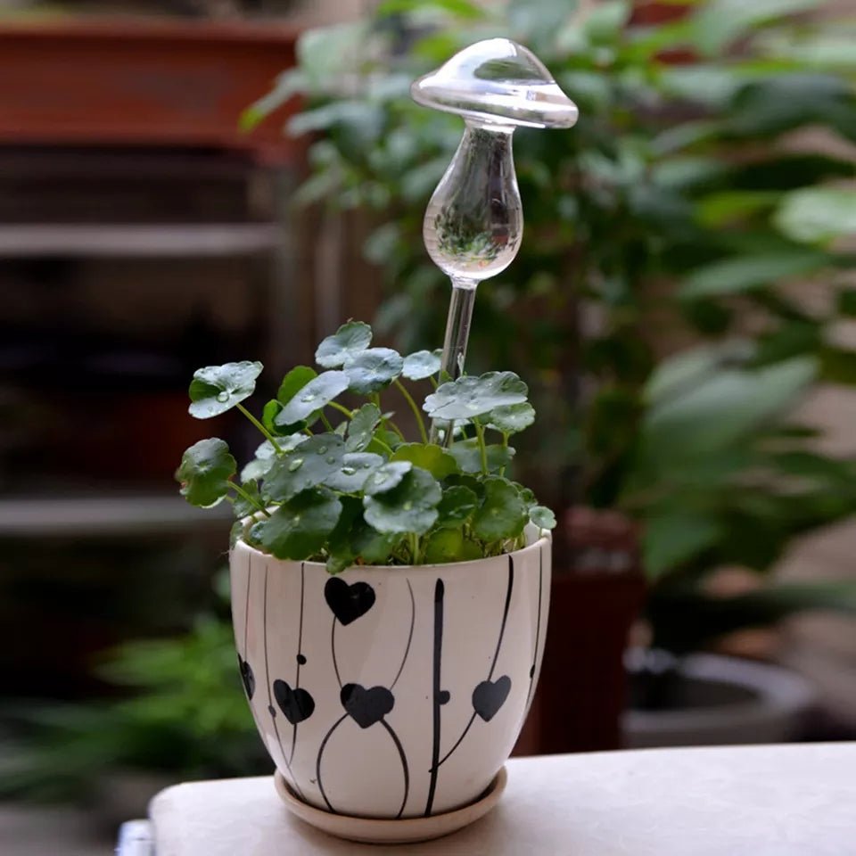 SELF WATERING MUSHROOM GLASS