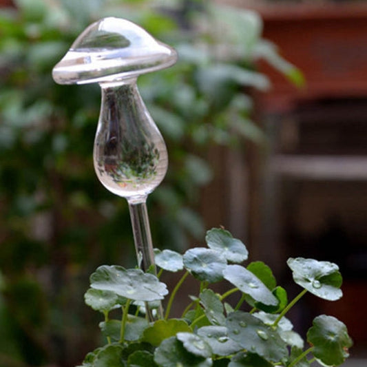 SELF WATERING MUSHROOM GLASS