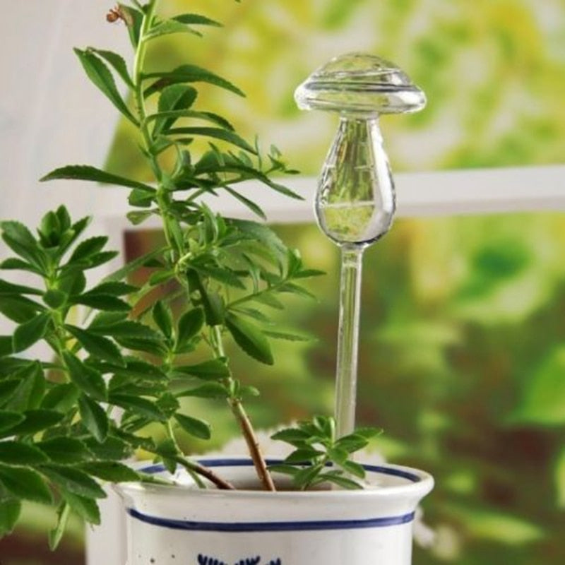 SELF WATERING MUSHROOM GLASS