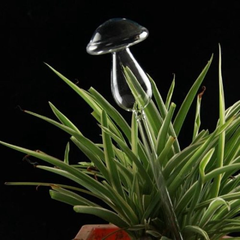SELF WATERING MUSHROOM GLASS
