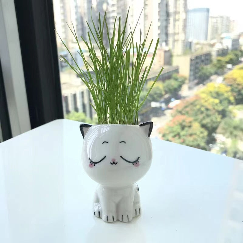 Cute Cat Planter
