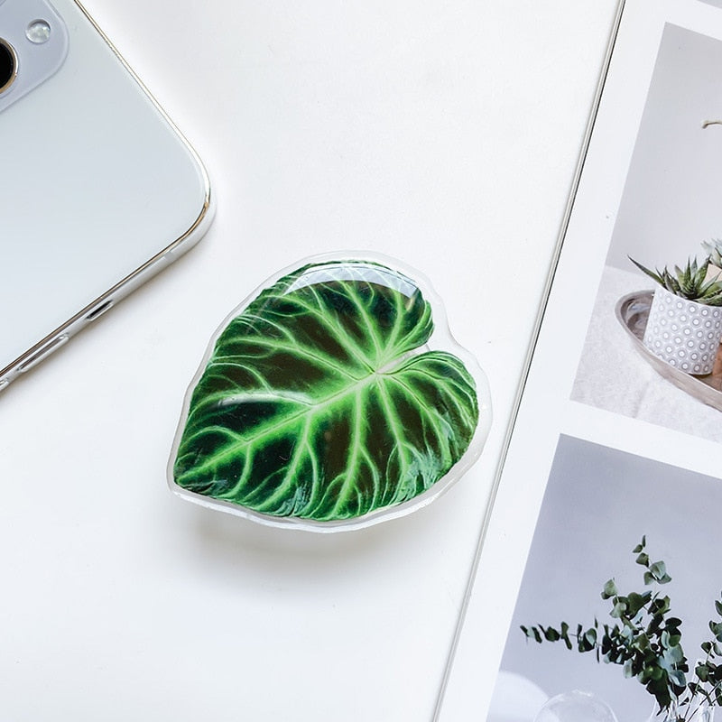 Leaf Plant Sockets