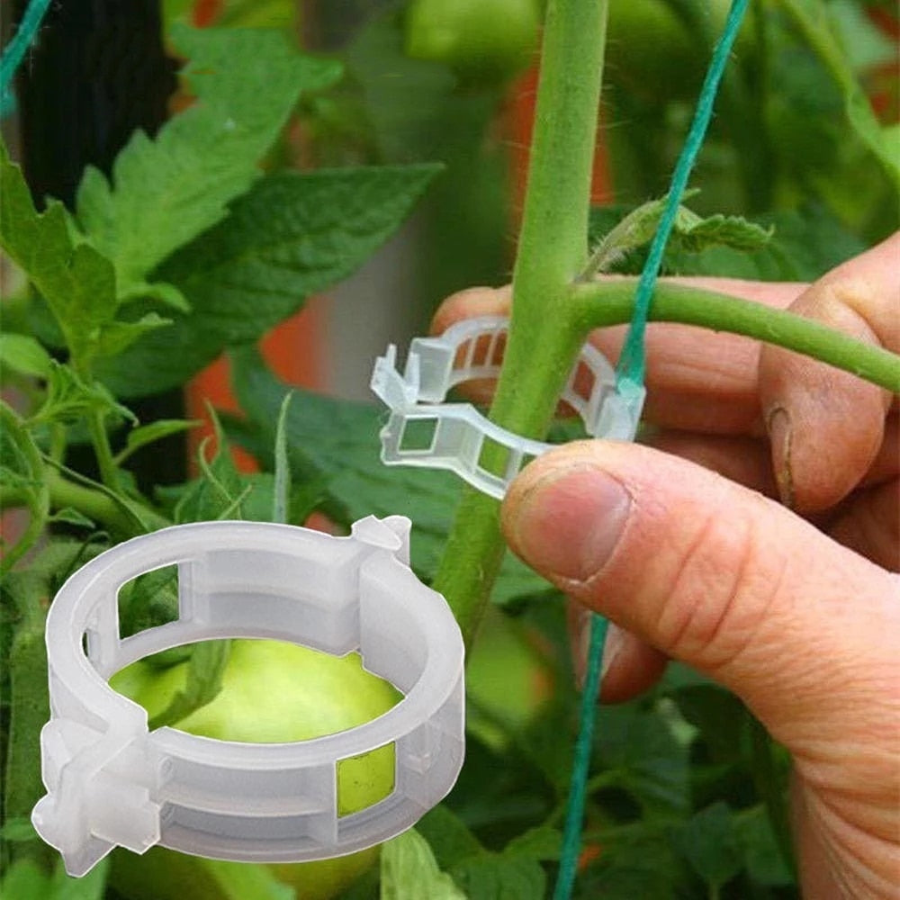50/100pcs Plant Support Clips