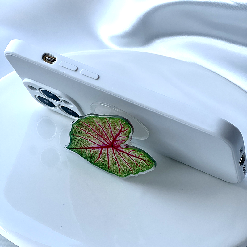 Caladium Leaf Sockets