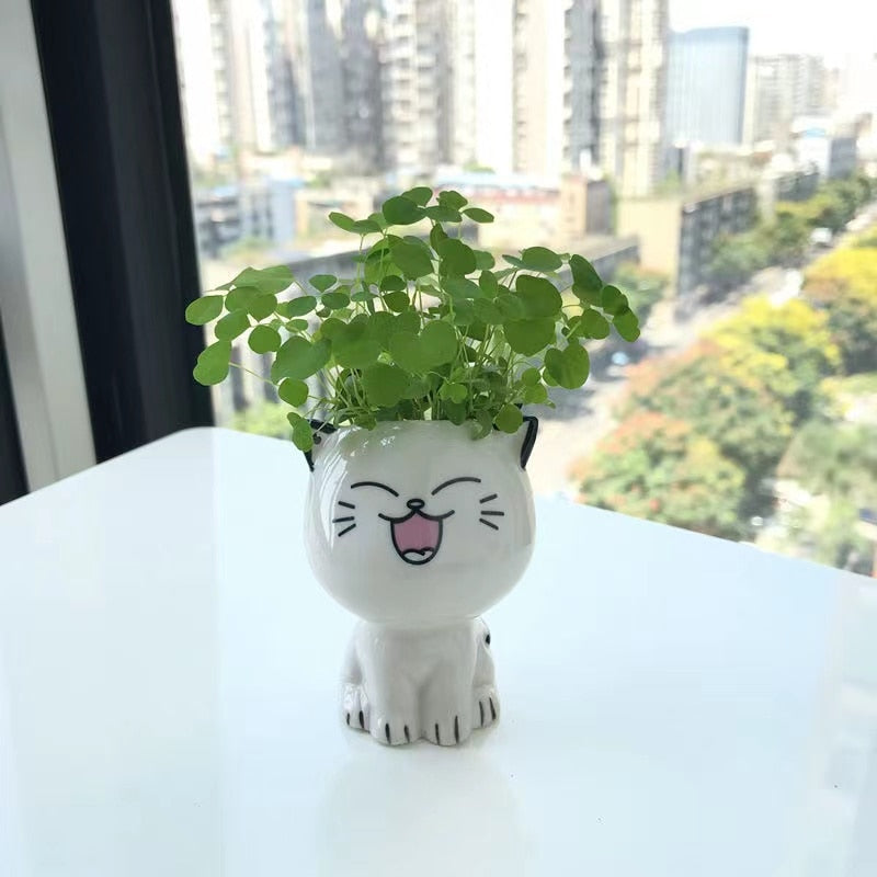 Cute Cat Planter