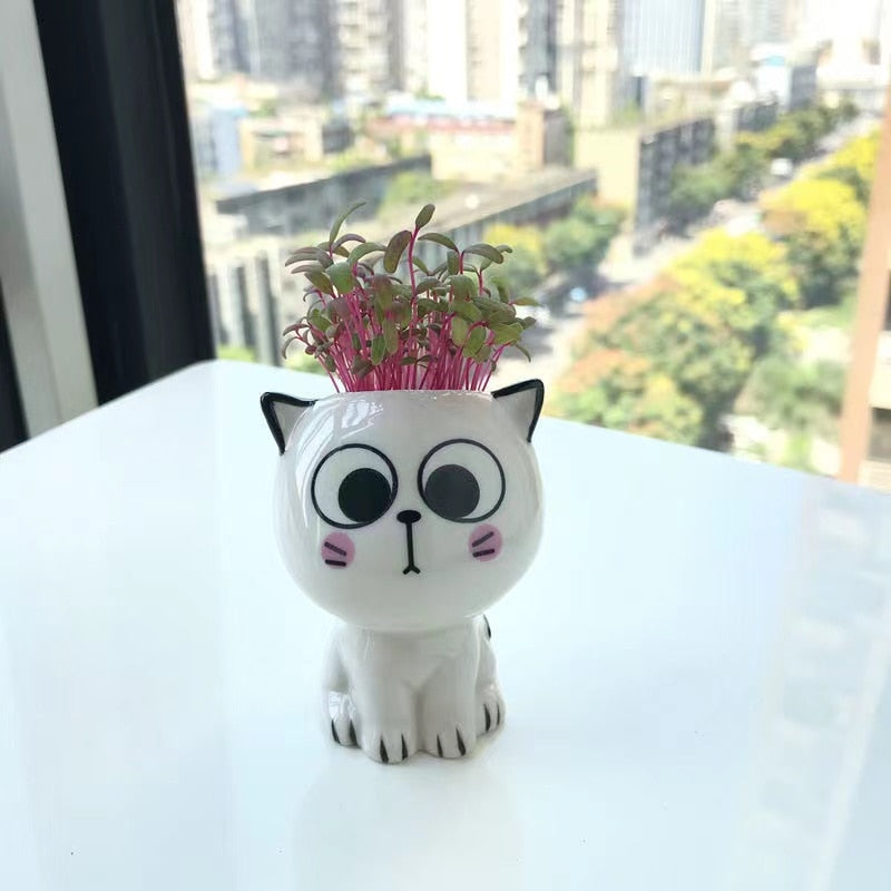 Cute Cat Planter