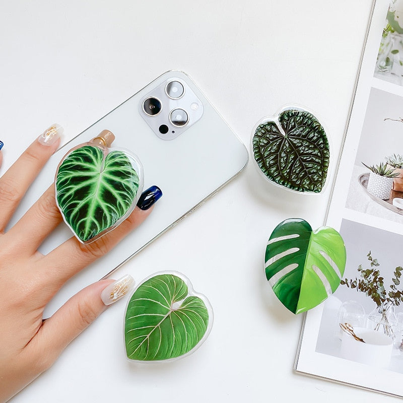 Leaf Plant Sockets
