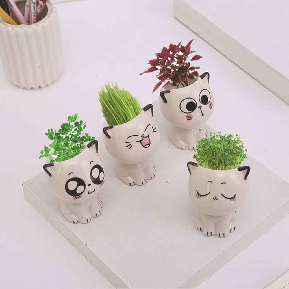 Cute Cat Planter