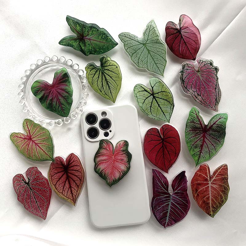 Caladium Leaf Sockets