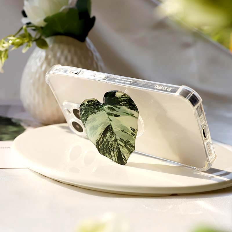 Philodendron Sockets