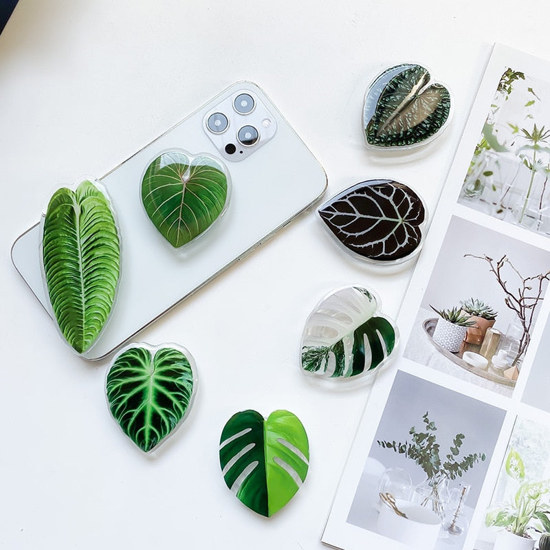 Leaf Plant Sockets