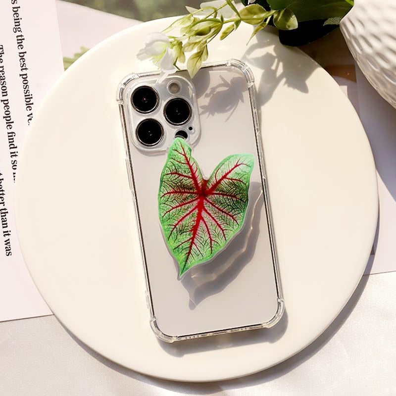 Caladium Leaf Sockets
