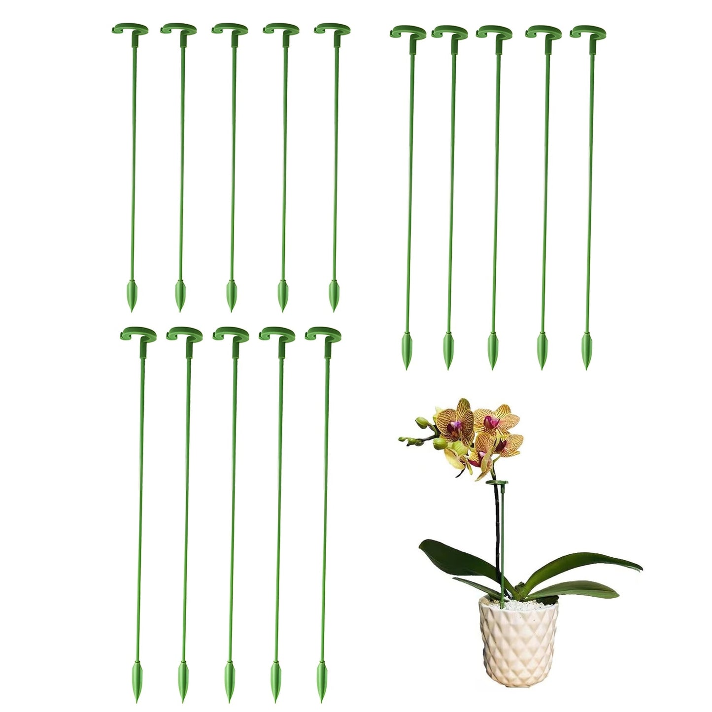 Plant Support Stakes 5/10/20Pcs