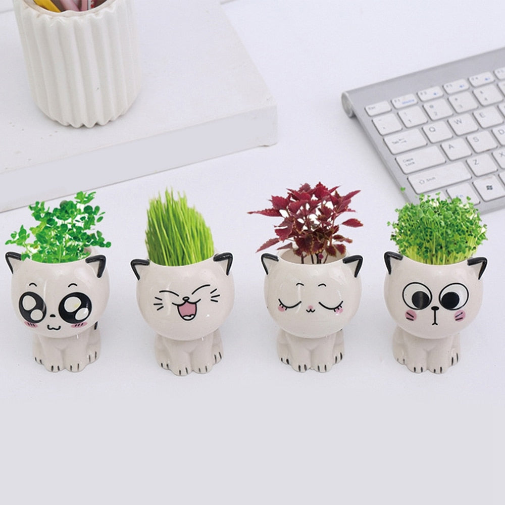 Cute Cat Planter