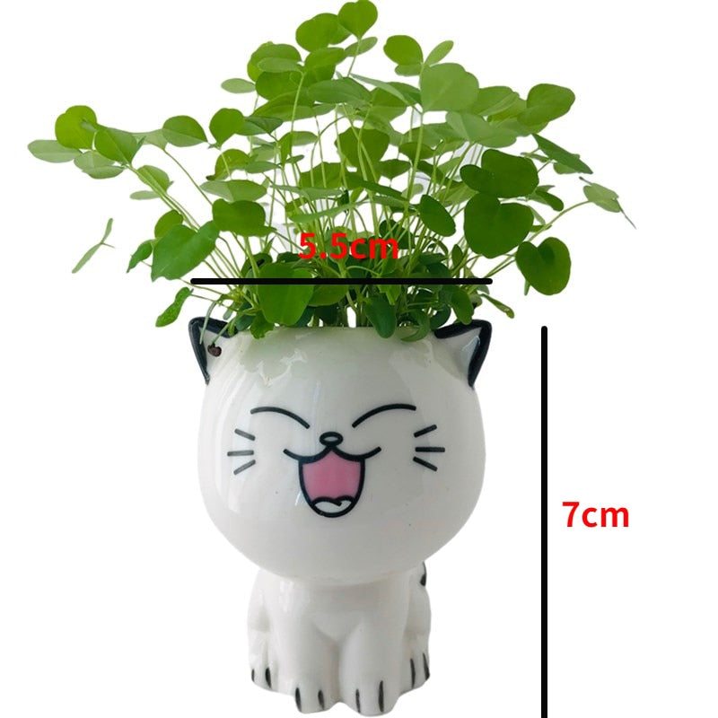 Cute Cat Planter