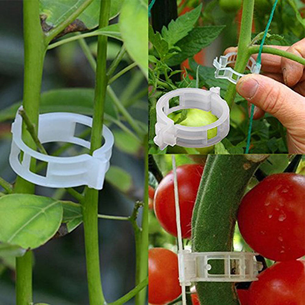 50/100pcs Plant Support Clips