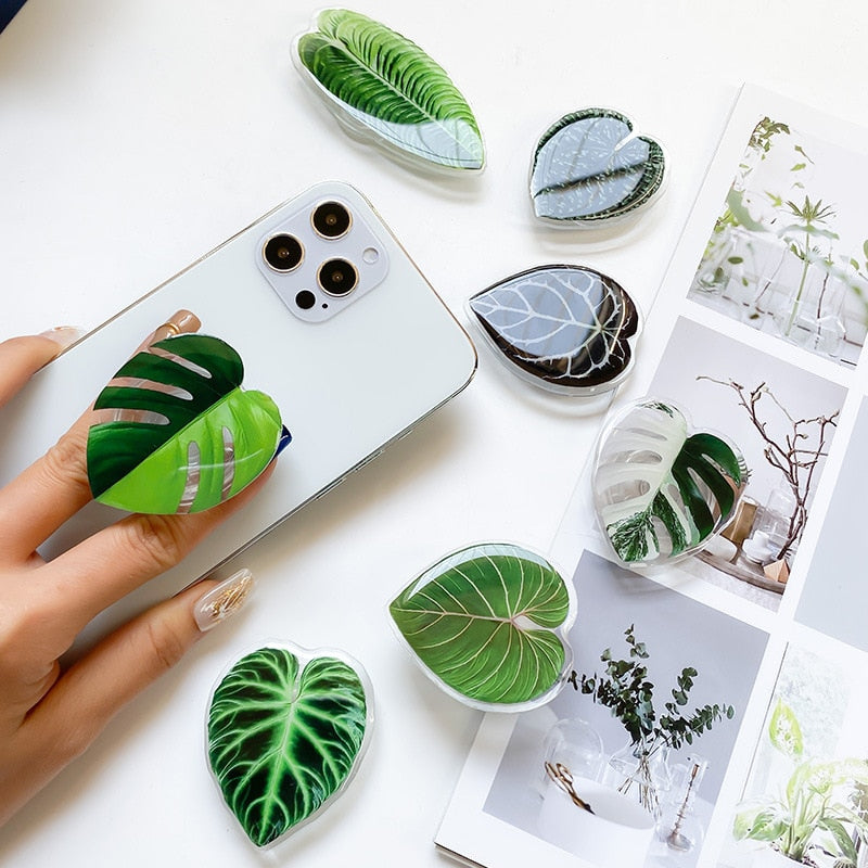 Leaf Plant Sockets