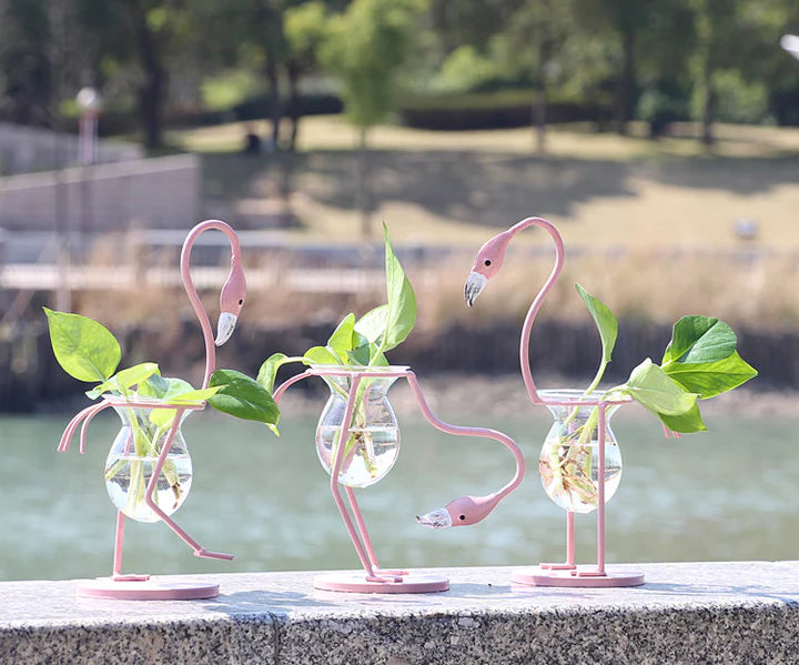 Flamingo Propagation Station